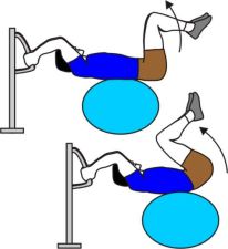 exercise ball reverse crunches